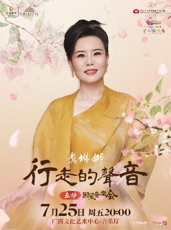 龚琳娜互动国风音乐会南宁站