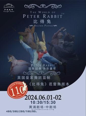 【六一立减】上海芭蕾舞剧 比得兔狂欢夜