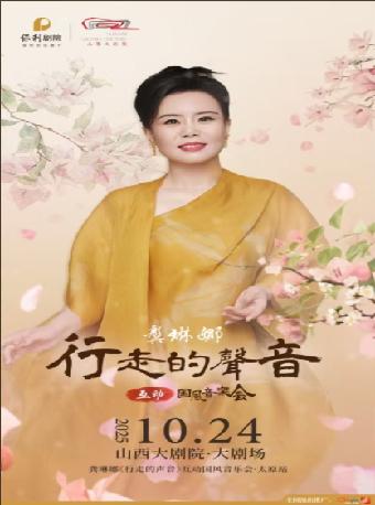龚琳娜《行走的声音》音乐会太原站