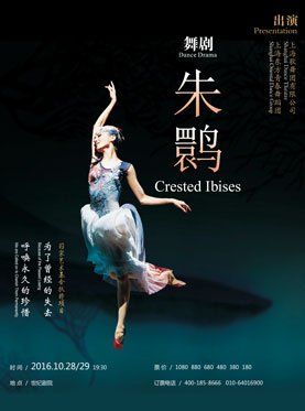 上海歌舞团舞剧《朱鹮》—北京站