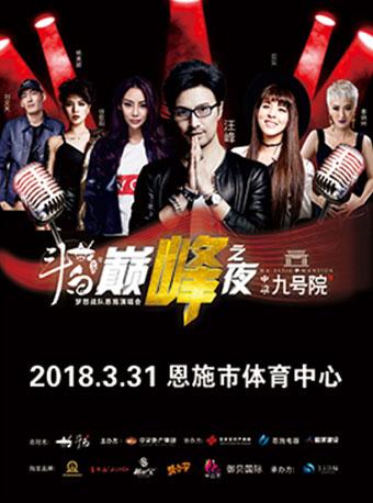 2018汪峰梦想战队恩施群星演唱会