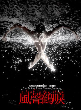 舞剧《风声鹤唳》