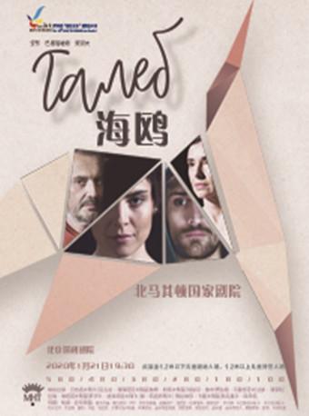 第20届“相约北京”国际艺术节北马其顿国家剧院话剧《海鸥》