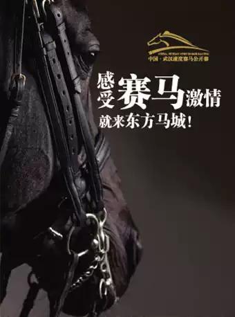 【武汉】2019年中国武汉速度赛马公开赛