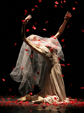 上海芭蕾舞团《简爱》