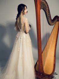 月光下的喷泉 竖琴四重奏音乐会