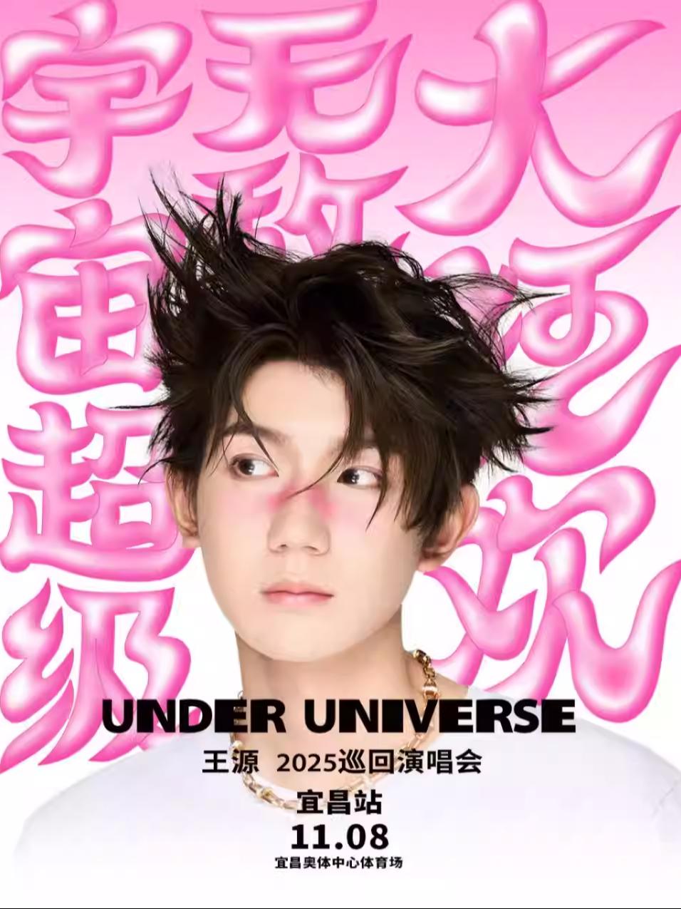 王源2025巡演宜昌站