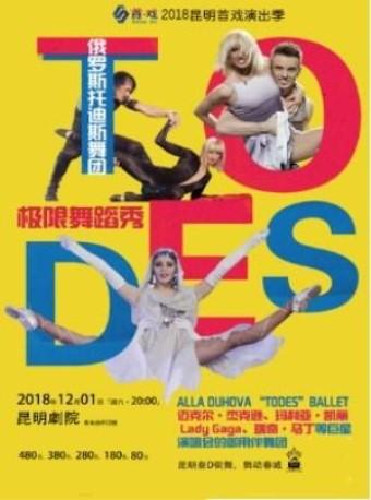俄罗斯托迪斯舞团极限舞蹈秀《TODES》