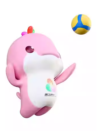 十五全运会排球（女子成年组）澳门站