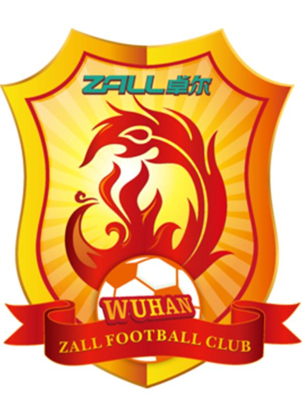 2018中国足球协会甲级联赛武汉卓尔主场赛事