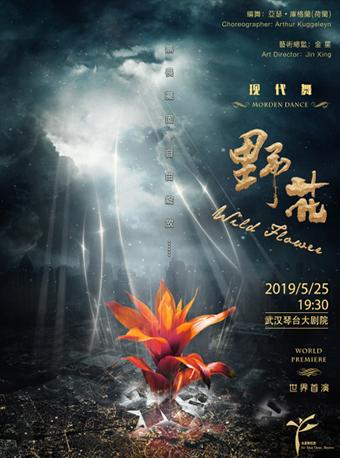 上海金星舞蹈团 现代舞《野花》