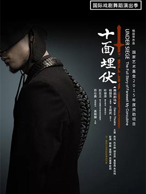 杨丽萍舞蹈剧场《十面埋伏》-长沙梅溪湖站