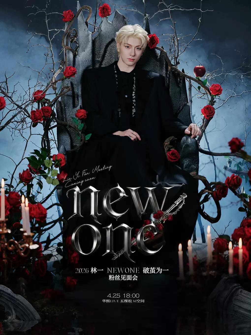 林一粉丝见面会北京站