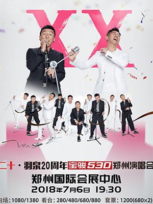 二十.羽泉20周年巡回演唱会郑州站