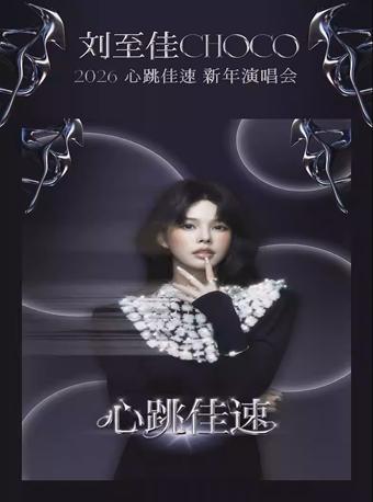 刘至佳新年演唱会北京站