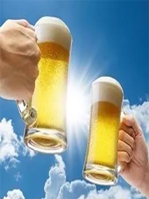 潘帕斯国际啤酒文化节