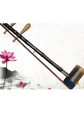 【中华民族传统艺术精赏】从技术到艺术&mdash;&mdash;领略二胡的魅力