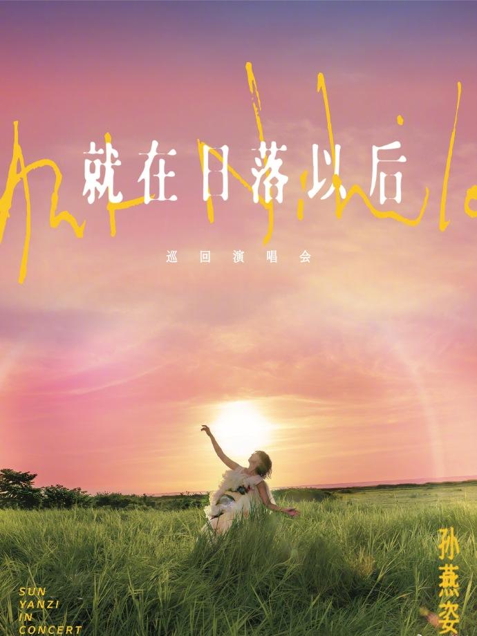 [预定金]孙燕姿演唱会中国香港站