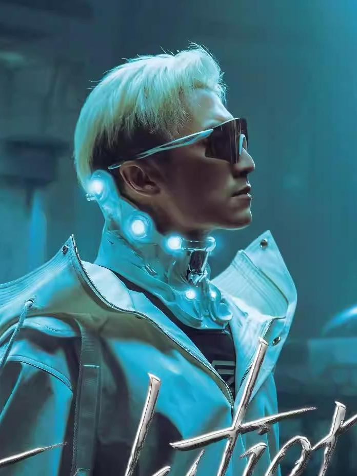 [代拍费]谢霆锋演唱会上海站