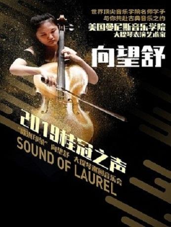 向望舒大提琴巡回音乐会