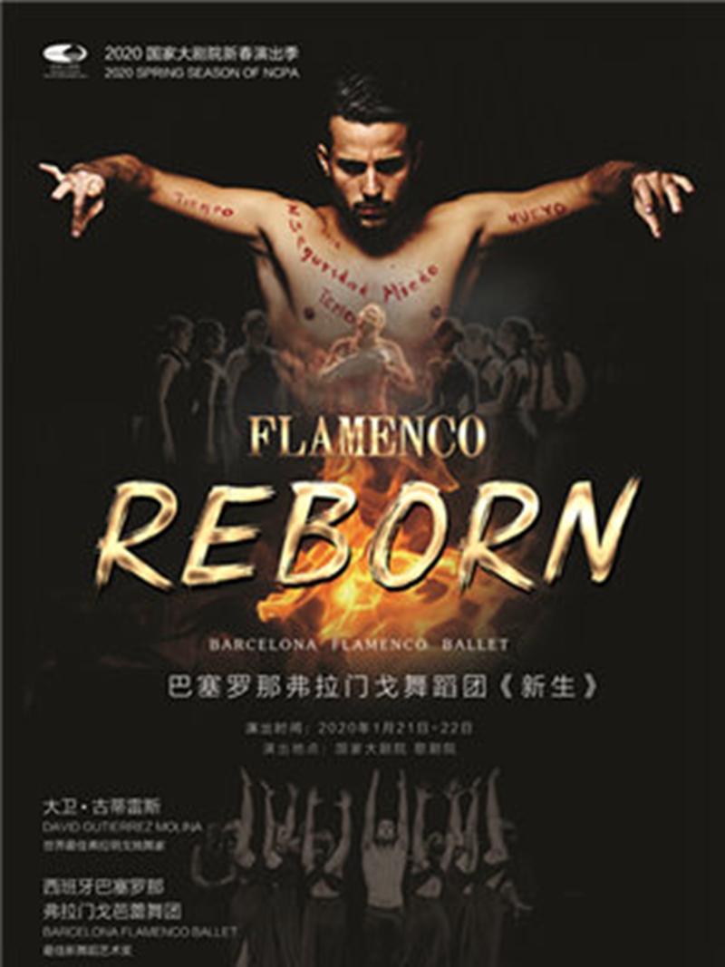 巴塞罗那弗拉门戈舞蹈团舞剧《弗拉门戈的重生》