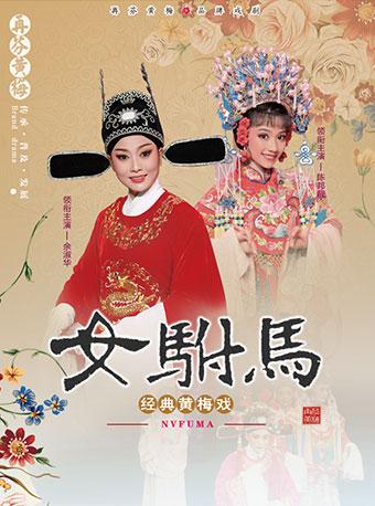 经典黄梅戏《女驸马》