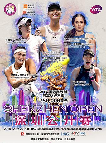 2019 深圳公开赛
