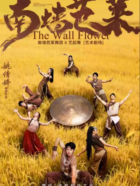 舞剧《南墙芭莱》南宁站
