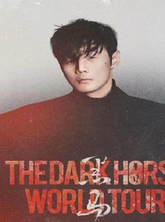 [代拍费]李荣浩演唱会太原站