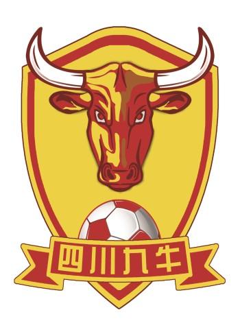 2019中乙联赛四川优必选主场 成都主场