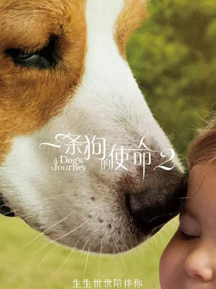 票牛X藤井树观影团  《一条狗的使命2》免费观影活动