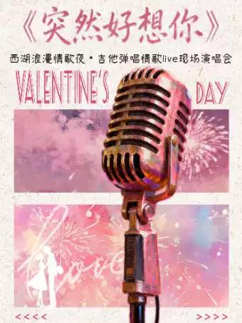 吉他弹唱情歌live现场演唱会杭州站