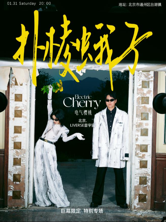 电气樱桃「扑棱蛾子」巨幕限定&middot;北京专场