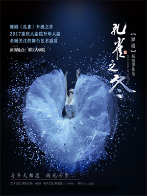 舞剧《孔雀之冬》【01月16日场】