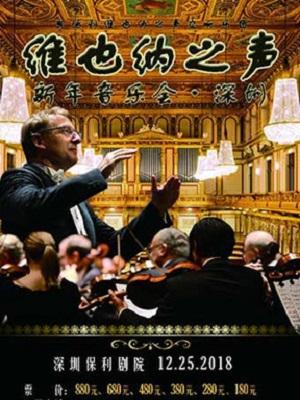 《维也纳之声新年音乐会·深圳 奥地利维也纳之声交响乐团》