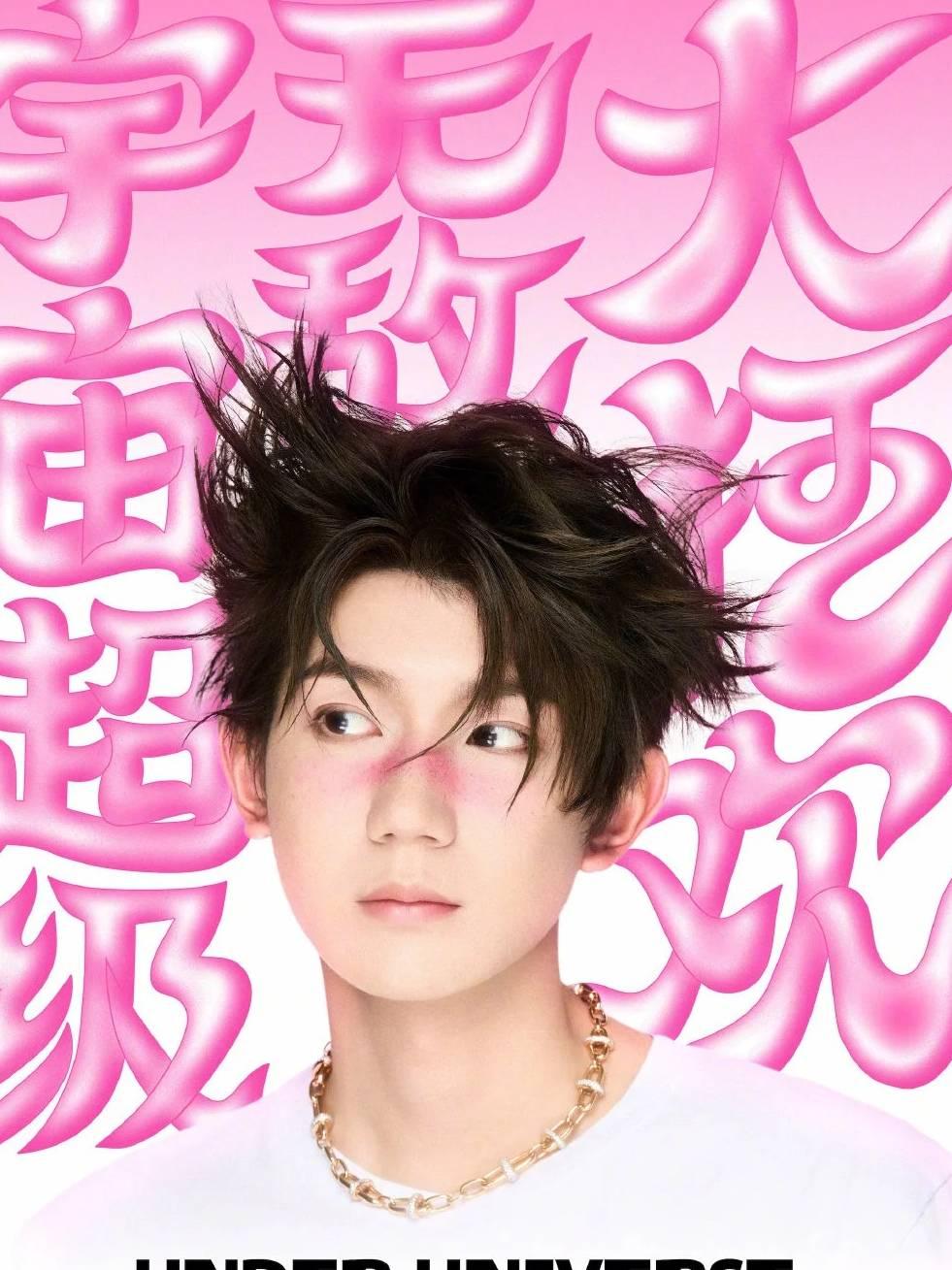 [代拍费]王源演唱会天津站