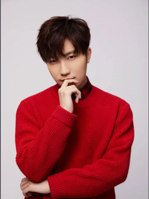 [代拍费]徐良演唱会深圳站