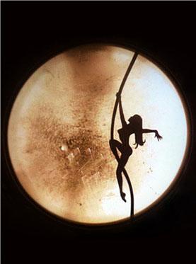 琥珀教育&middot;陪你玩一夏 暗黑中的光明戏法 法国声光剧团《黑漆漆马戏团》