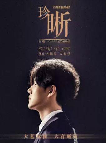 王晰个人巡回音乐会 佛山站