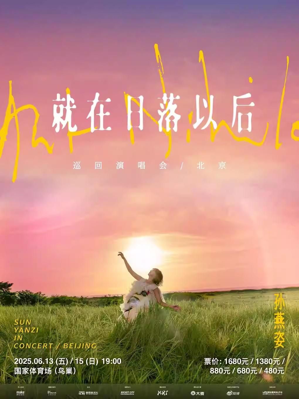 [强实名/条件退]孙燕姿演唱会 北京站