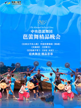 中央芭蕾舞团 《芭蕾舞精品展演》