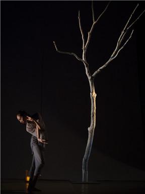 中国舞蹈十二天：郑杰舞蹈作品《寂静之上》