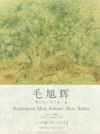 『我只是热爱：毛旭辉』个展
