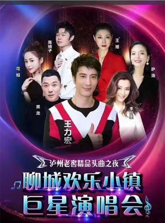 聊城欢乐小镇 巨星演唱会