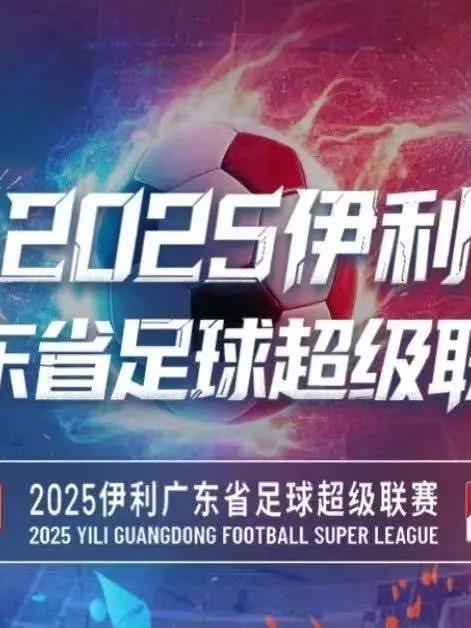 广东省足球超级联赛决赛