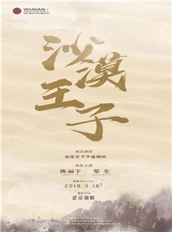 沙漠王子
