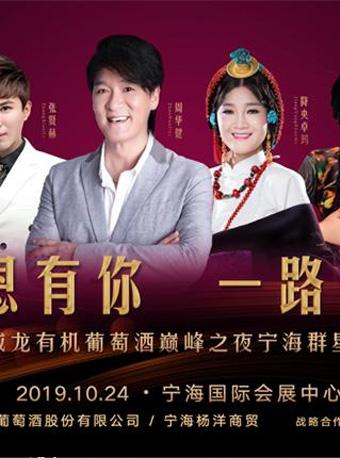 巅峰之夜 宁海群星演唱会