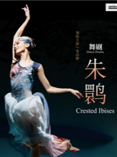 上海歌舞团舞剧《朱鹮》-重庆站