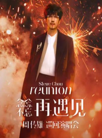 [代拍费]周传雄演唱会太原站