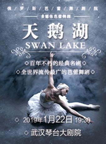 俄罗斯多媒体芭蕾舞剧《天鹅湖》武汉站